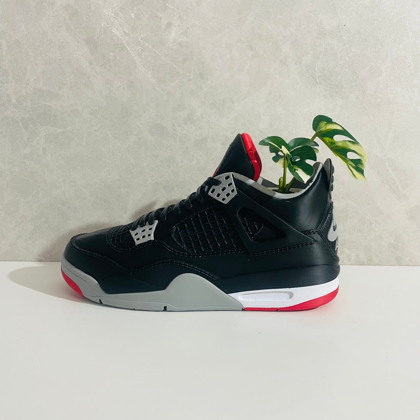 Jordan 4 Bred planter