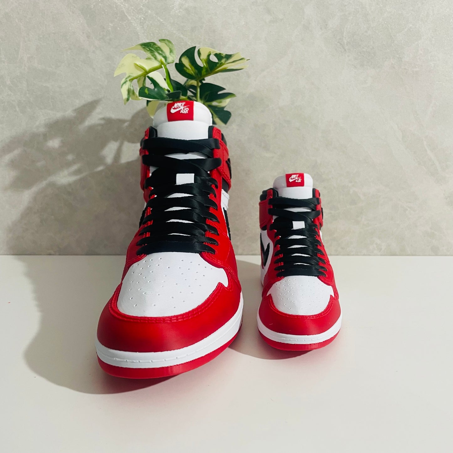 Jordan 1 Chicago full colour