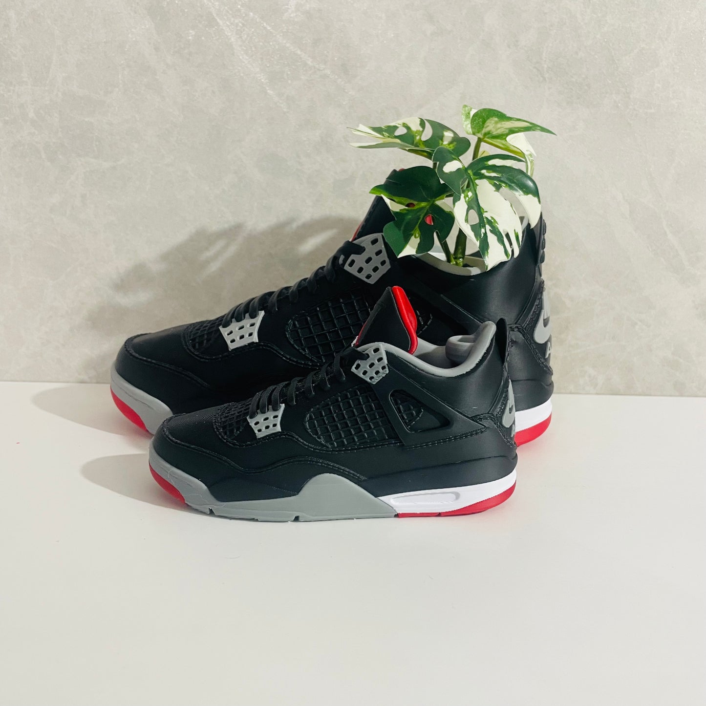 Jordan 4 Bred planter