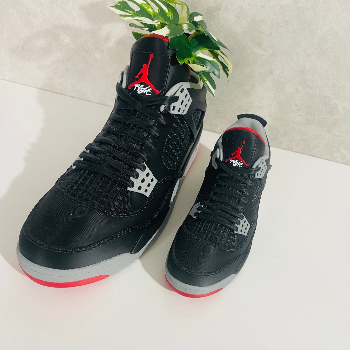 Jordan 4 Bred planter