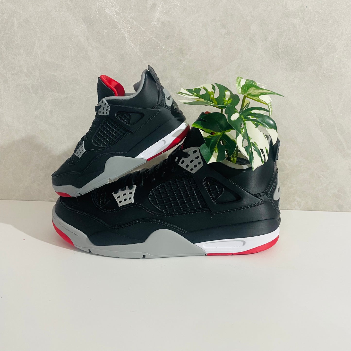 Jordan 4 Bred planter