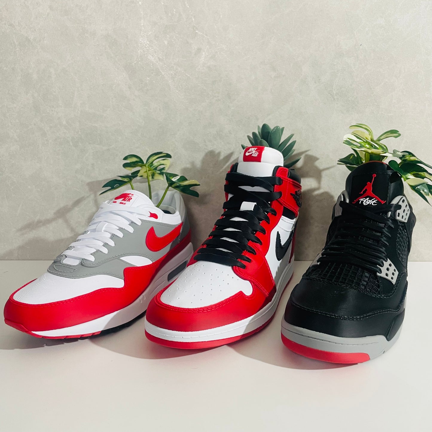 Jordan 4 Bred planter
