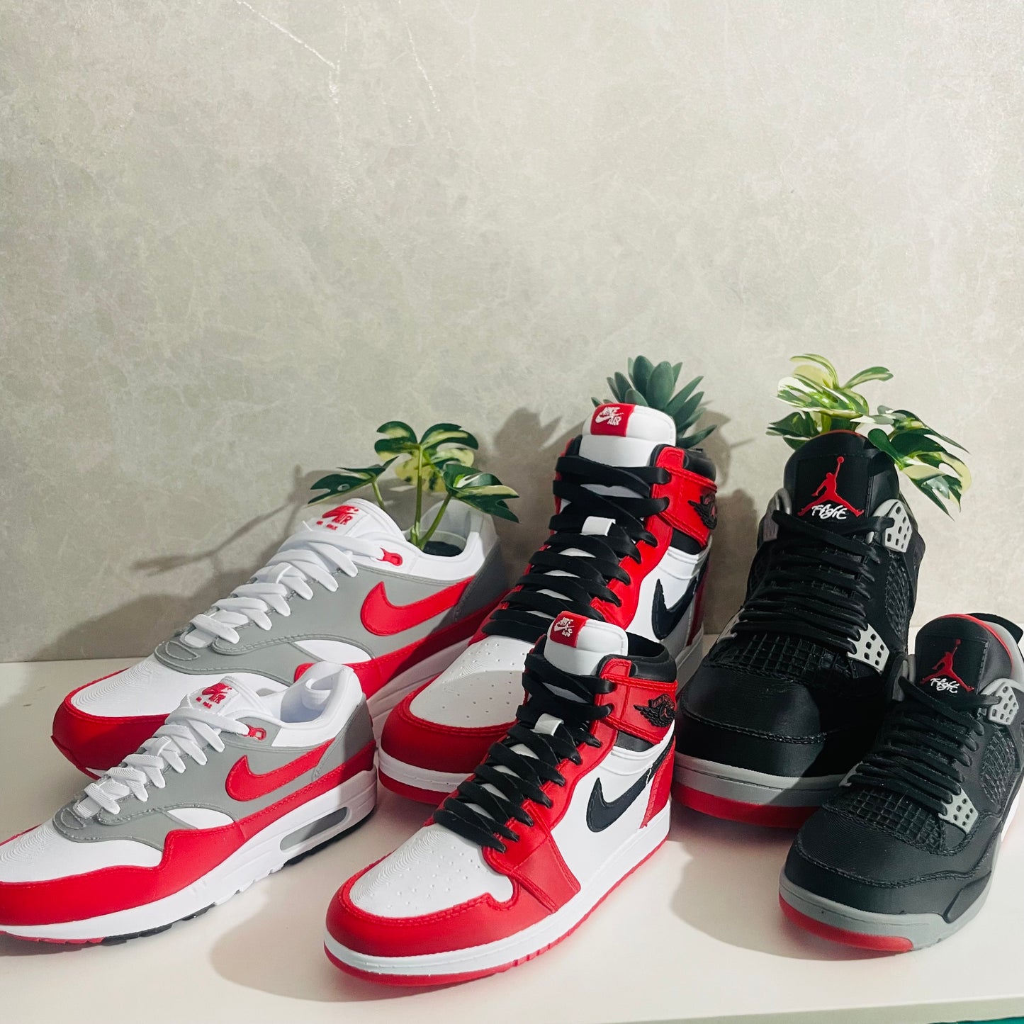 Jordan 4 Bred planter